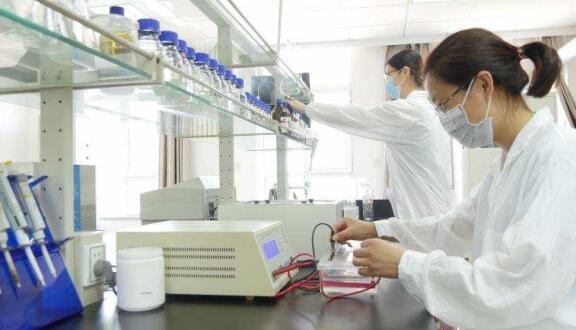 一個女企業(yè)家的現(xiàn)代農(nóng)業(yè)之夢——訪領(lǐng)先生物農(nóng)業(yè)股份有限公司董事長徐志文 一個女企業(yè)家的現(xiàn)代農(nóng)業(yè)之夢——訪領(lǐng)先生物農(nóng)業(yè)股份有限公司董事長徐志文